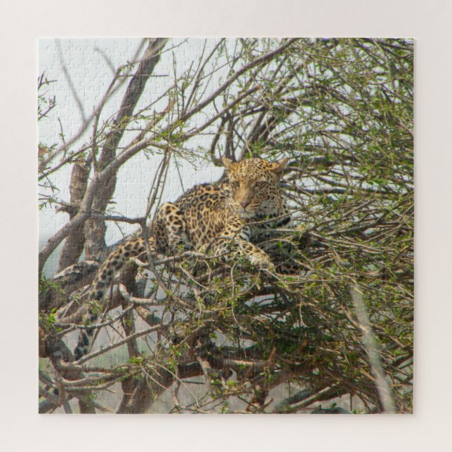 Leopard in Tree Puzzle (Vertikal)