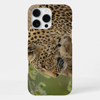 Leopard iPhone 16 pro max hülle