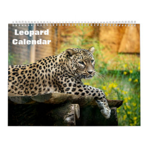 Leopard-Kalender 2025 Kalender