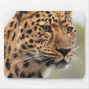 Leopard-Kopfschuss Mousepad