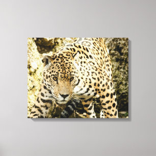 Leopard Leinwanddruck