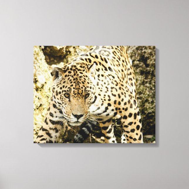 Leopard Leinwanddruck (Vorderseite)