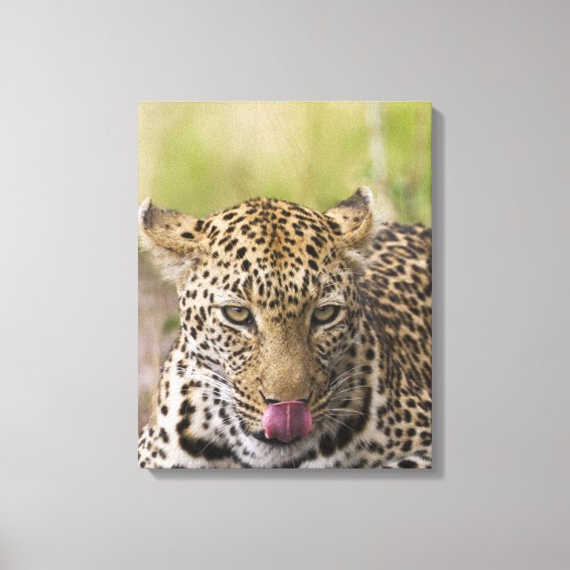 Leopard Leinwanddruck (Vorderseite)