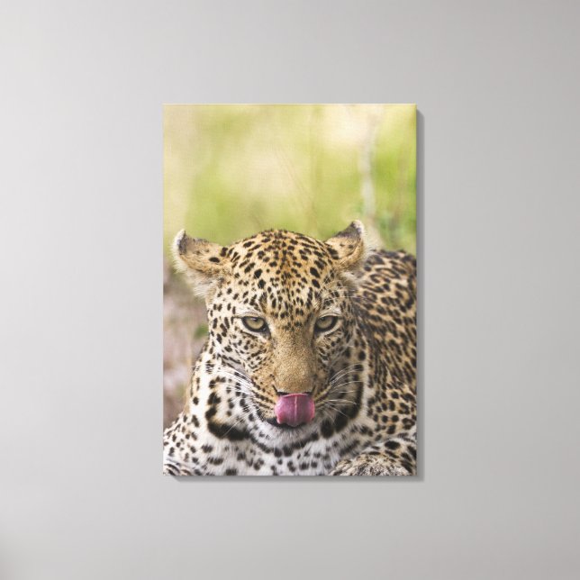Leopard Leinwanddruck (Vorderseite)