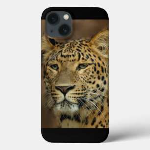 Leopard Liebe Kunst Case-Mate iPhone Hülle