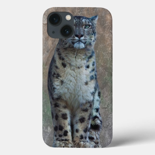 Leopard Lookout iPad Fall Case-Mate iPhone Hülle (Rückseite)
