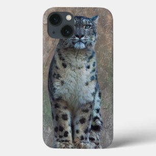 Leopard Lookout iPad-Hülle iPhone 13 Hülle