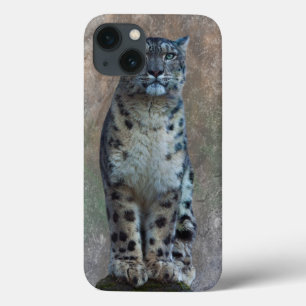 Leopard Lookout iPad Mini Fall iPhone 13 Hülle