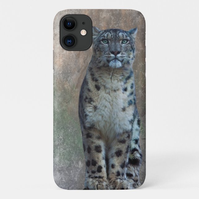 Leopard Lookout iPhone 11 Hülle (Rückseite)