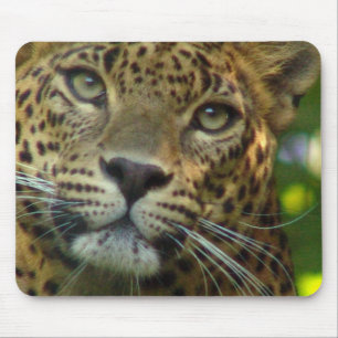 Leopard-Mausunterlage Mousepad