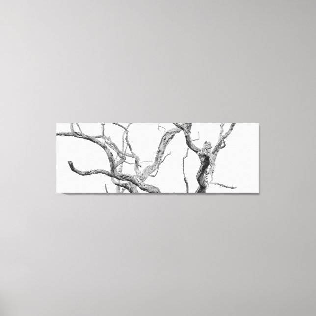 Leopard mit hoher Schlange: Inkanyeni Female Leinwanddruck (Vorderseite)