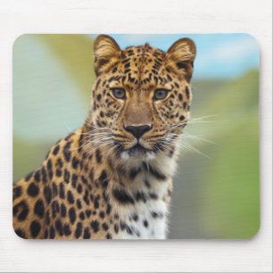 Leopard Mousepad