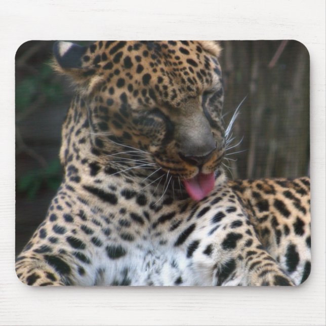 Leopard Mousepad (Vorne)