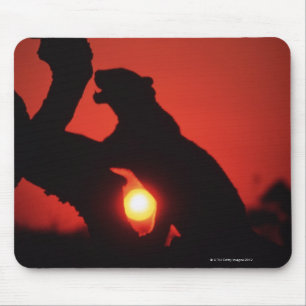 Leopard Mousepad