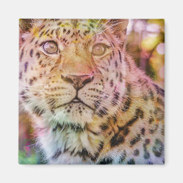Leopard Nah-up-Foto Magnet