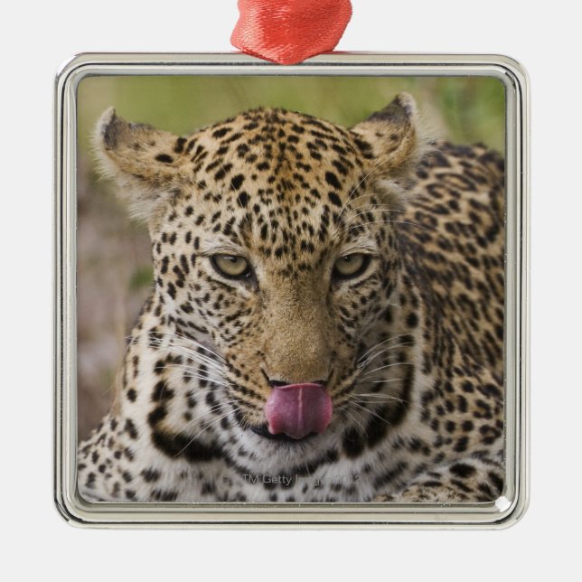 Leopard Ornament Aus Metall (Vorne)