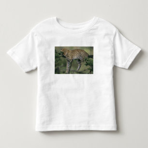 Leopard, (Panthera pardus), Kenia, Masai Mara Kleinkind T-shirt