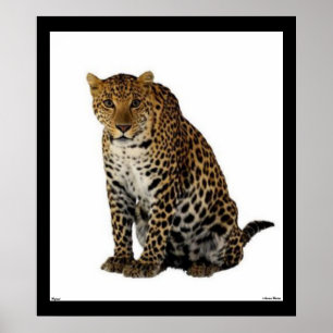 Leopard-Plakat Poster