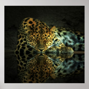 Leopard-Plakat Poster