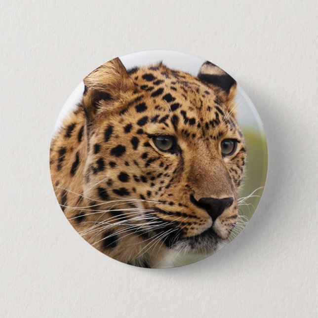 Leopard Portrait Button (Vorderseite)