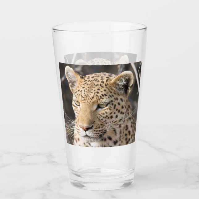 Leopard-Portrait-Foto Glas (Vorderseite)