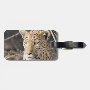 Leopard-Portrait Gepäckanhänger