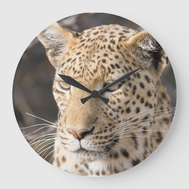 Leopard-Portrait Große Wanduhr (Vorderseite)