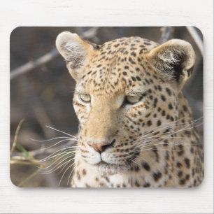 Leopard-Portrait Mousepad