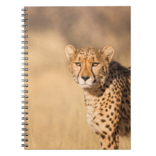 LEOPARD PORTRAIT NOTIZBLOCK