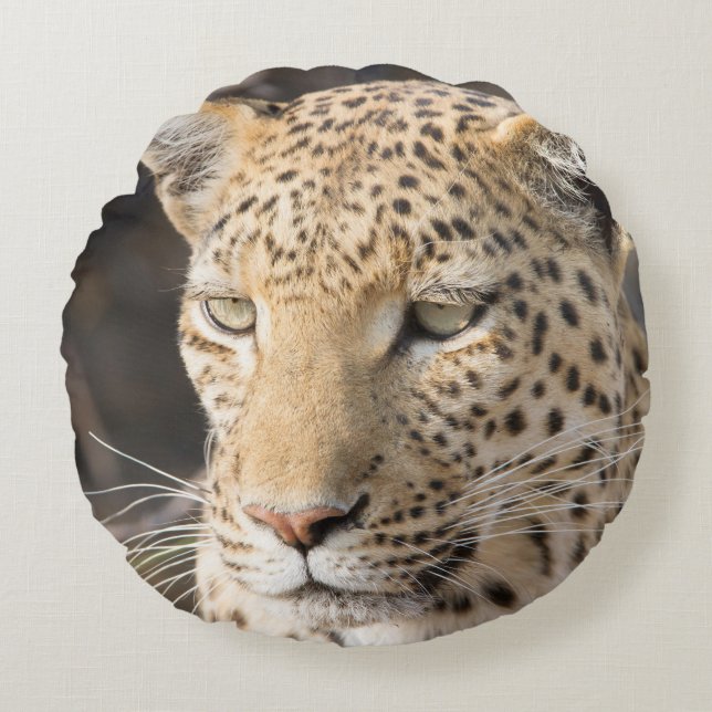Leopard-Portrait Rundes Kissen (Vorderseite)