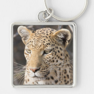 Leopard-Portrait Schlüsselanhänger