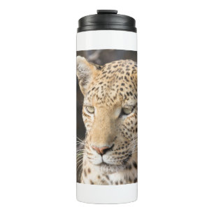 Leopard-Portrait Thermosbecher