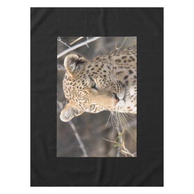 Leopard-Portrait Tischdecke (Vorderseite)