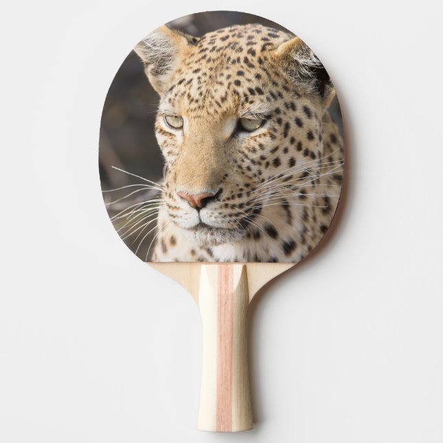 Leopard-Portrait Tischtennis Schläger (Vorderseite)
