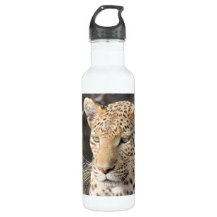 Leopard portrait trinkflasche
