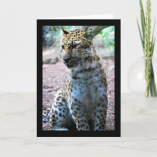 Leopard-Pose Karte