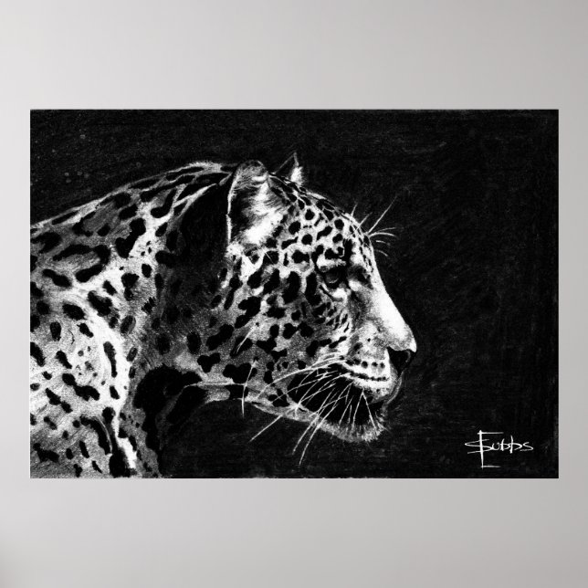 Leopard Poster (Vorne)