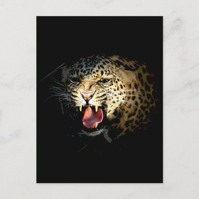 Leopard Postkarte (Vorderseite)