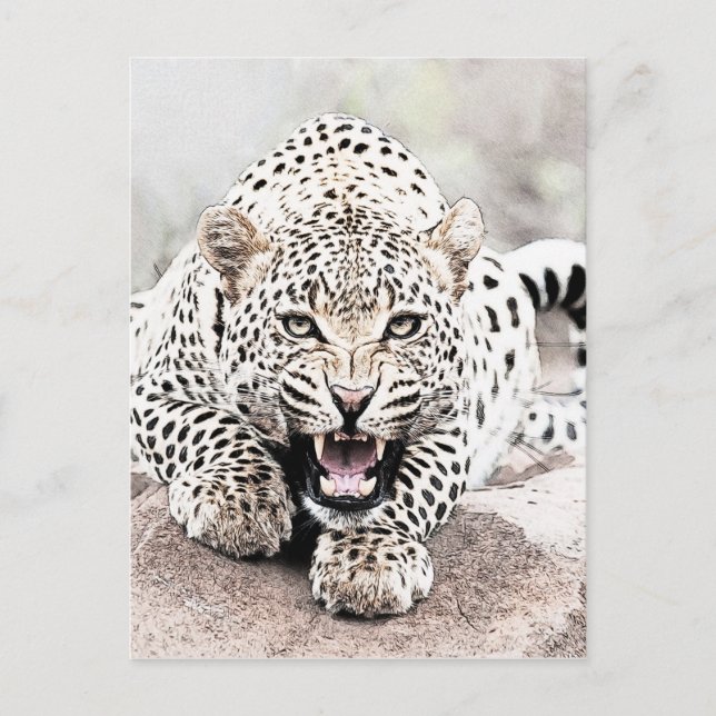 Leopard Postkarte (Vorderseite)