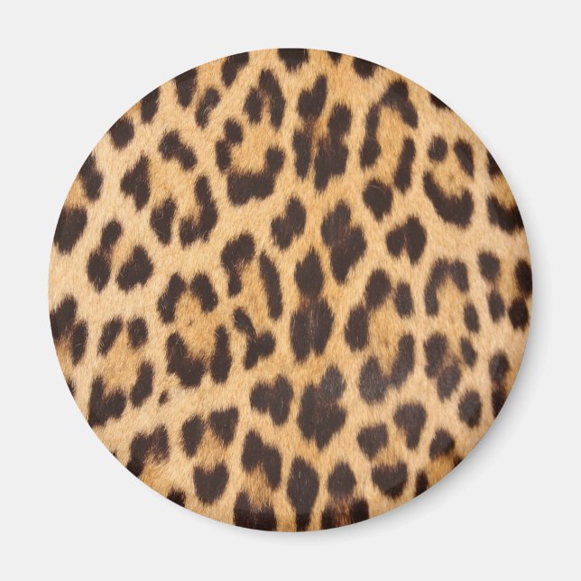 Leopard Print Magnet (Vorne)