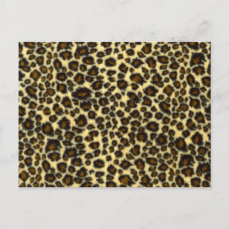 Leopard Print Postcard Postkarte