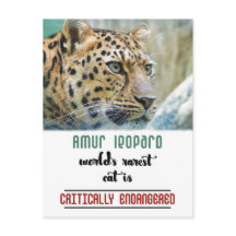 Leopard Protect the Wildlife quote