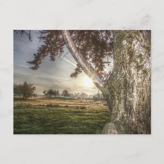 Leopard-Puppe auf einem Baum Postkarte (Vorderseite)