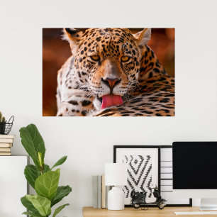 Leopard-Putzplakat Poster