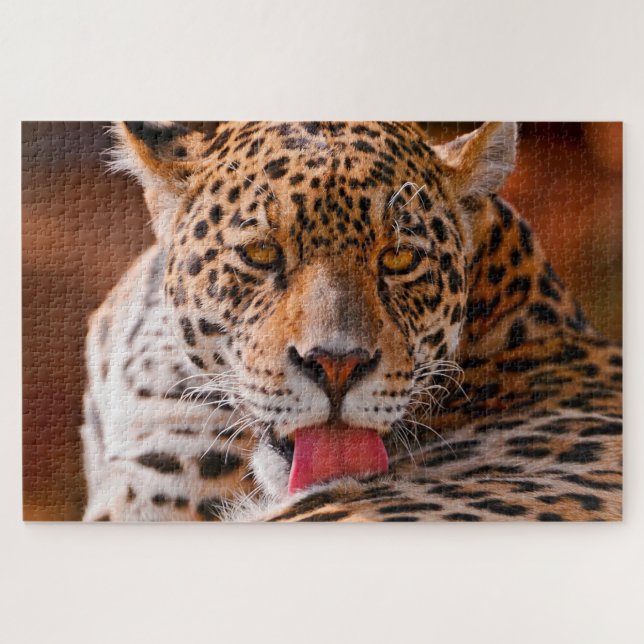 Leopard putzt seine Pfoten auf dem Boden Puzzle (Horizontal)