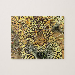 Leopard Puzzle