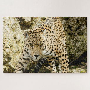 Leopard Puzzle