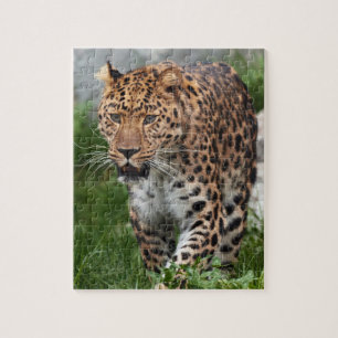 Leopard-Puzzle Puzzle