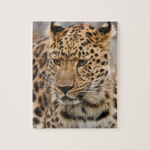 Leopard-Puzzle Puzzle
