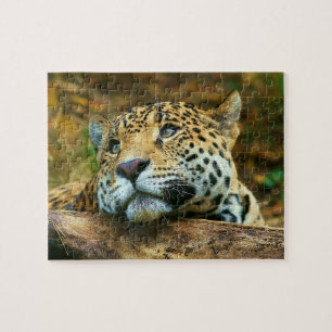 Leopard-Puzzlespiel Puzzle